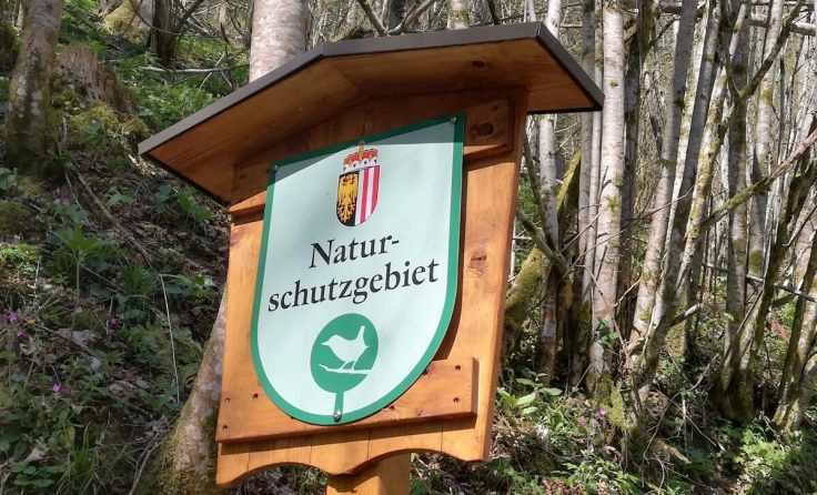  (Foto: Gahleitner)