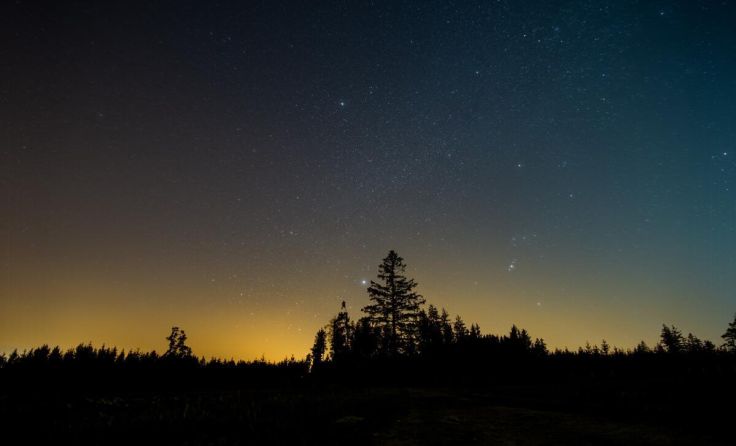 Die Nacht ist vielerorts nicht mehr dunkel genug. (Foto: Fabian Leppert/Shutterstock.com)