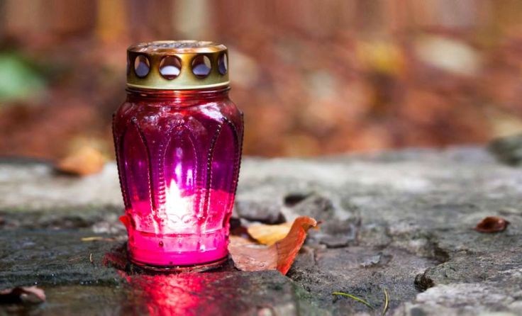 Foto: Katarzyna Sokolowska/Shutterstock.com
