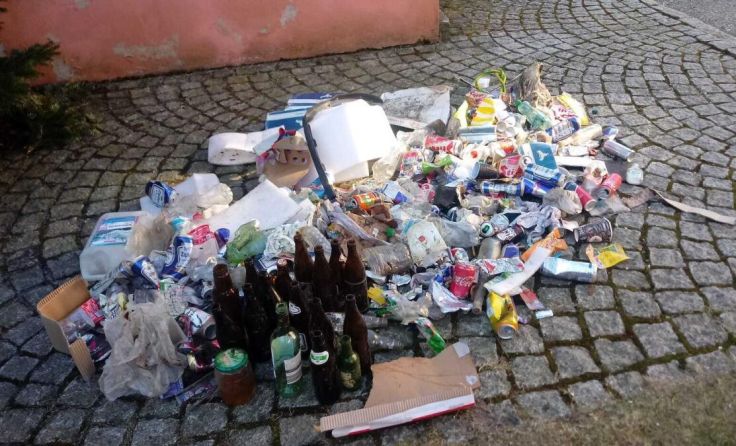 Diesen Müllberg hat Anneliese Lang an nur einem Tag gesammelt. (Foto: privat)