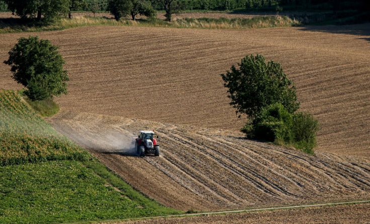 Um einen gesunden Boden dreht sich das nächste Biogespräch. (Foto: Weihbold)