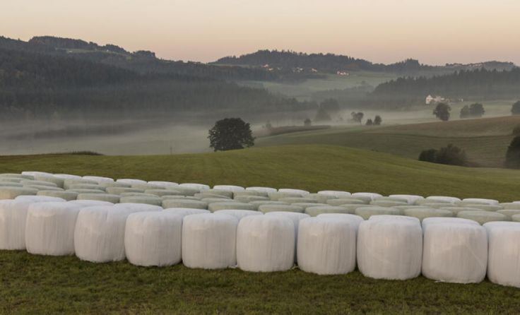 Aus den landwirtschaftlichen Folien entstehen wieder neue Säcke und Folien. (Foto: B. Donner)