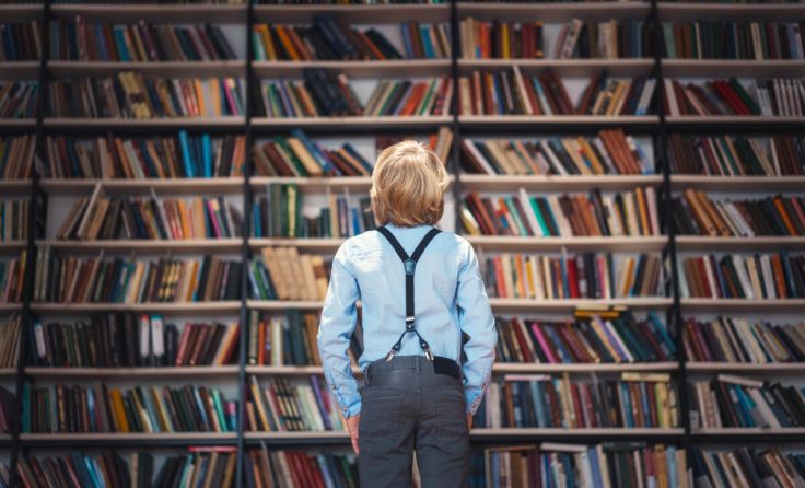 In den Bibliotheken werden alle fündig. (Foto: AboutLife / stock.adobe.com)