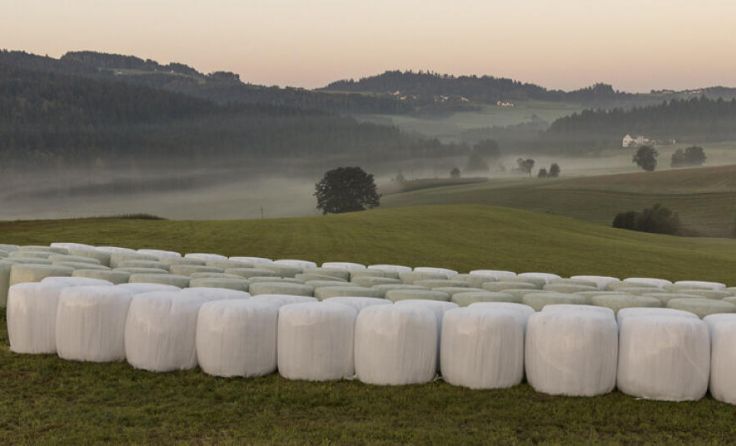 Agrarfolien können wieder kostenlos abgegeben werden. (Foto: B. Donner)