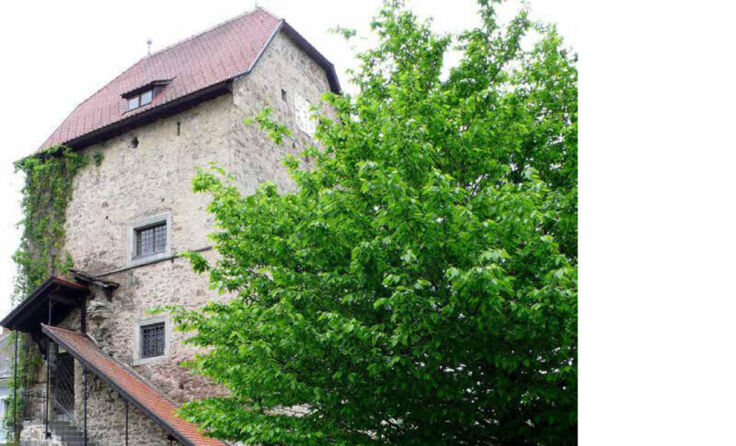 Peter Paul Wiplinger in seinem Geburts- und Heimatort Haslach (Foto: Susanne Nowak)