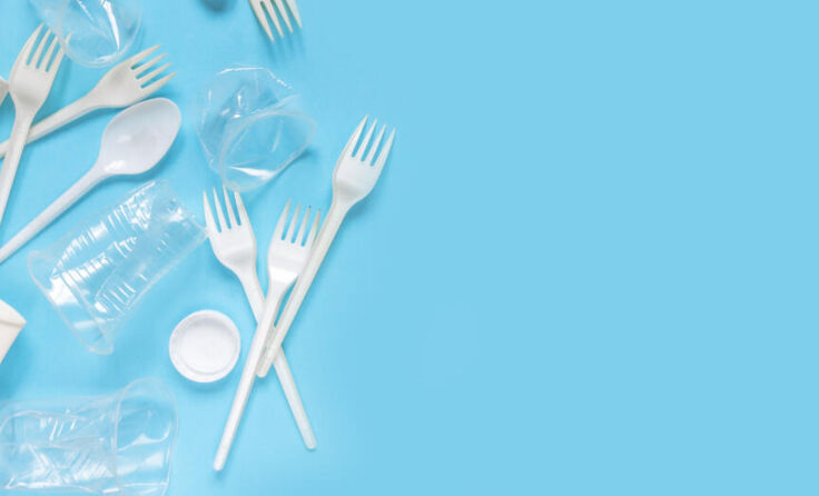 Kein Einwegplastik mehr bei Veranstaltungen (Foto: shintartanya – stock.adobe.com)