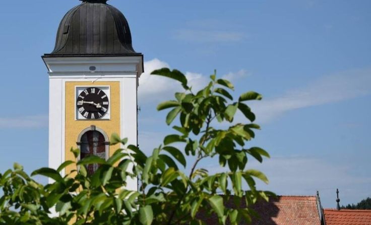Volles Programm in der Pfarrkirche Niederwaldkirchen (Foto: Pfarre Niederwaldkirchen)