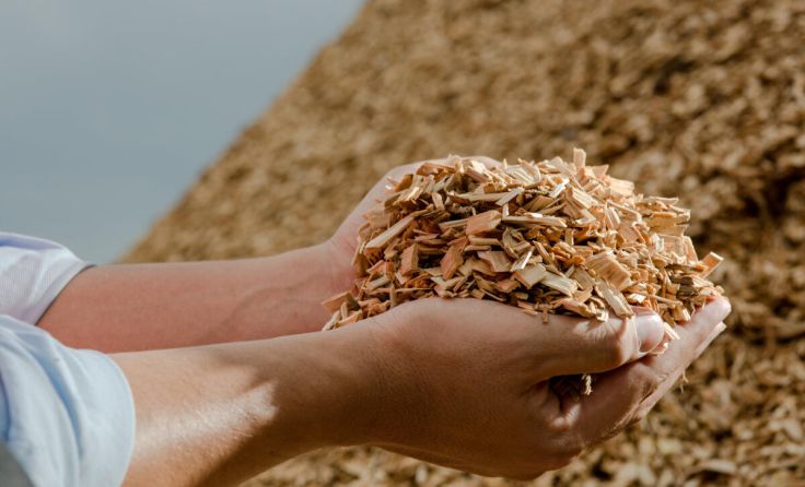 Saubere Wärme aus Hackschnitzel für die beiden Gemeinden (Foto: Joao Bispo - stock.adobe.com)