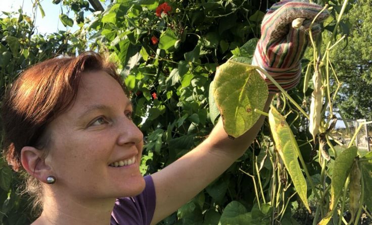 Eva Haselgruber sammelt und vermehrt am Pressmayr-Hof Bohnen-Saatgut. (Foto: Pressmayr)