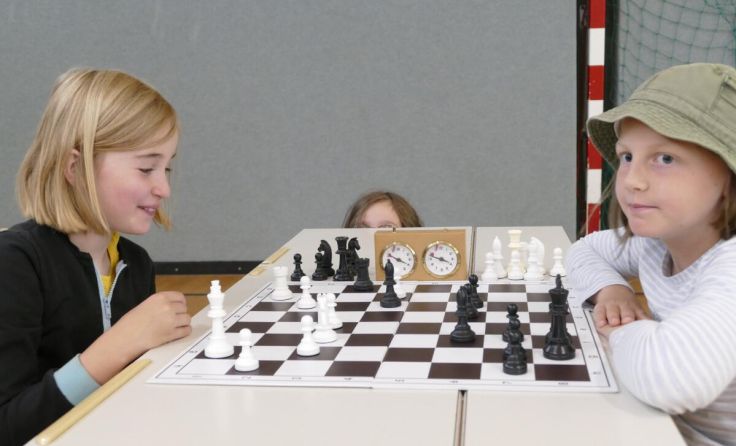 80 Schüler aus der Bildungsregion Mühlviertel traten zum Turnier an. (Foto: MS Neufelden)