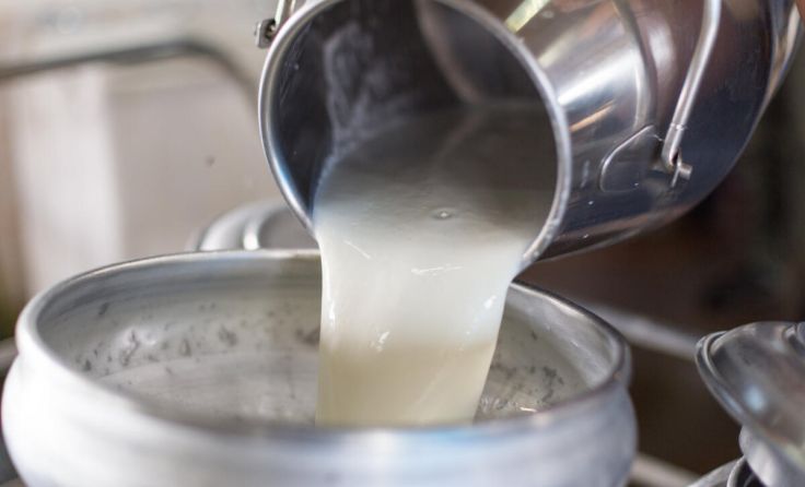 Hochwertige Milch muss ihren Preis haben. (Foto: sinhyu - stock.adobe.com)