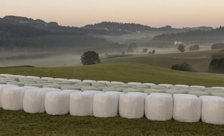 Agrarfolien können kostenlos abgegeben werden. (Foto: B. Donner)