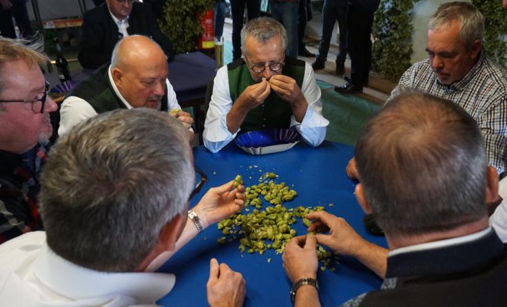  (Foto: Gahleitner)