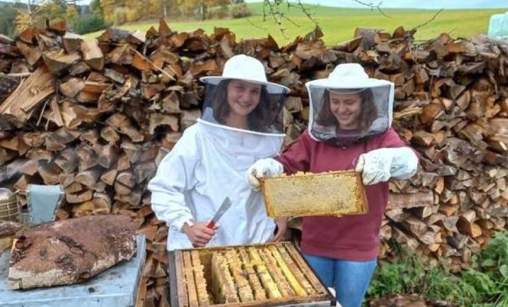 Die Bioschule Schlägl ist mit ihrem Imker-Projekt bei der Wahl dabei. (Foto: Hansjörg Hofmann)