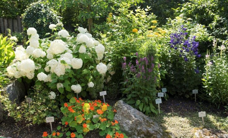 Der Kräutergarten lädt ab 1. Mai wieder zum Auftanken ein. (Foto: Heilkräutergarten)
