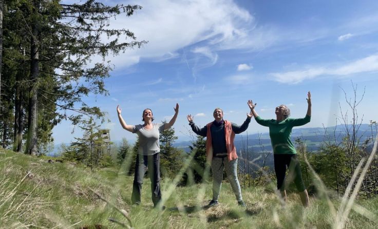 Wyda-Wander-Workshop in die Waldnatur rund um Bad Leonfelden (Foto: Magy Bernhard)