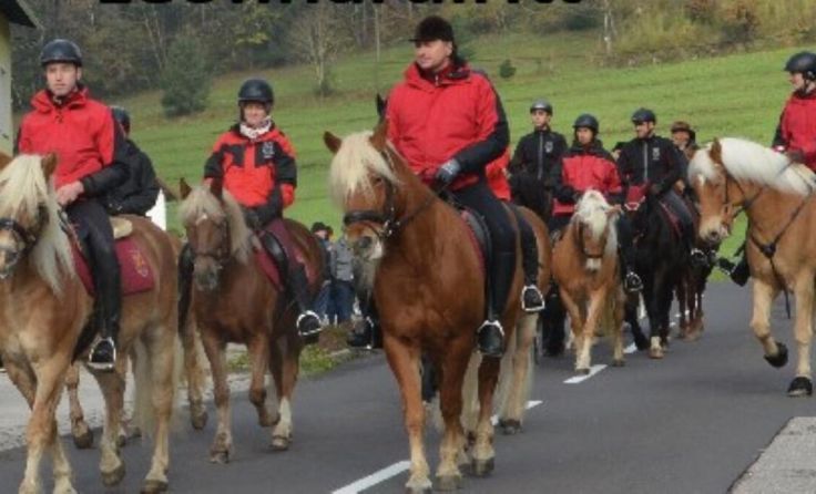 Am Sonntag findet der traditionelle Leonhardiritt in Eidenberg statt. (Foto: privat)