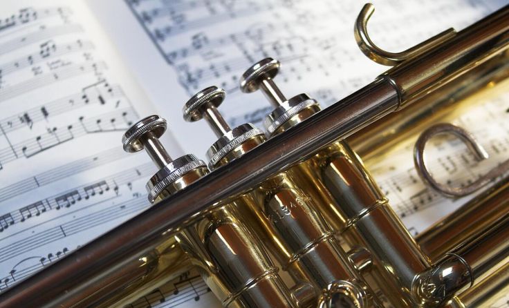  (Foto: jaromo - stock.adobe.com)