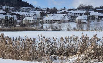 Ökologische Auferstehung beim Ottenschlager Landschaftsteich Mooswiesn