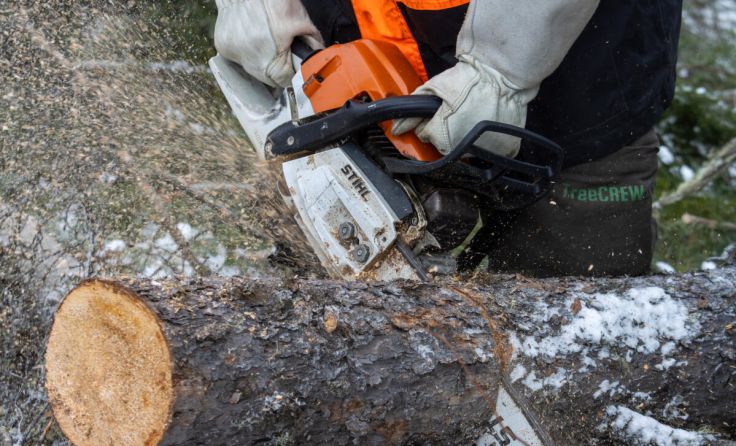  (Foto: Henry Saint John - stock.adobe.com)