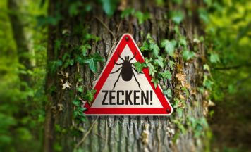 FSME-Impfungen in fünf Rohrbacher Gemeinden