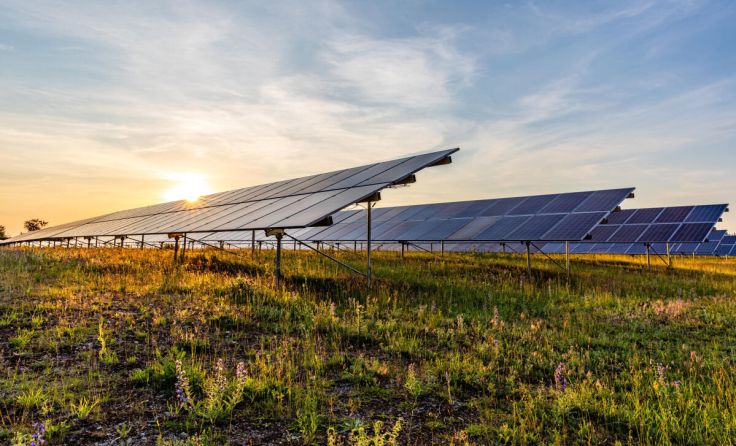 In einigen Gemeinden sind Agri-PV-Anlagen geplant. (Foto: Björn Wylezich - stock.adobe.com)