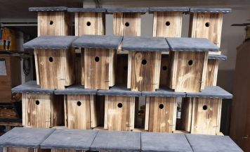 Nistkästen der Jagdhornbläsergruppe Pfarrkirchen suchen Käufer mit Baum