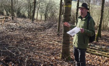 Auf der Versuchsfläche in Marsbach wächst ein starker Laubwald heran