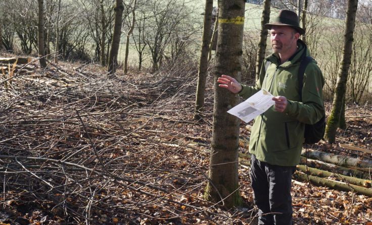 Bezirksförster Sebastian Köppl begleitet den Waldbau-Versuch seit 20 Jahren. (Foto: Gahleitner)