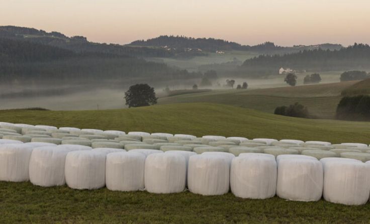 Gebrauchte Agrarfolien werden gesammelt und wiederverwertet. (Foto: B. Donner)