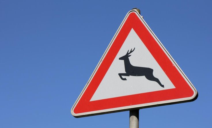  (Foto: Björn Wylezich - stock.adobe.com)