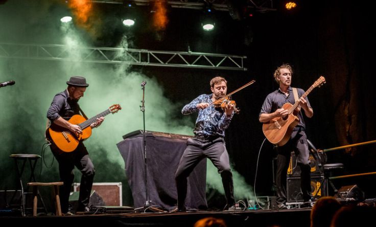 Das Wiener Weltmusiktrio Cobario bringt die Saiten zum Glühen. (Foto: Manuela Fuchs)