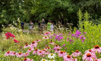 Im Kräutergarten Klaffer kann man in die Welt der Bio-Heilkräuter eintauchen