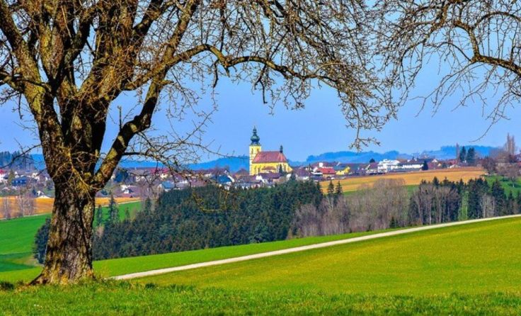 Wandertag in Altenfelden (Foto: Stockschützen Altenfelden)