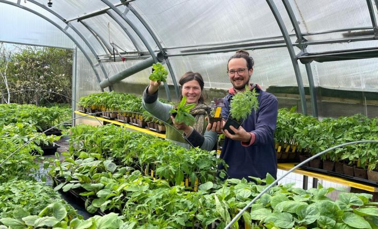 Rosa Schwentner und Tobias Schlagitweit starten mit dem Jungpflanzenverkauf. (Foto: Ackerhummel)