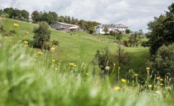 Loidholdhof feiert ein Fest des Leins