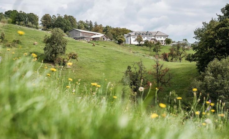 Die integrative Hofgemeinschaft Loidhold lädt wieder zum Sommerfest. (Foto: Loidholdhof)