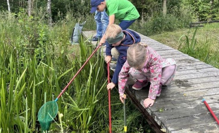 Kinder entdecken die Natur. (Foto: Naturschutzjugend Oberösterreich)