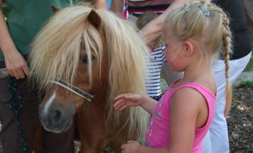 Tierpark Walding lädt zum Sommernachmittag mit Tieren