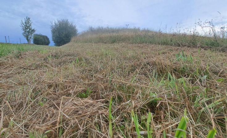 Der ausbleibende Regen ließ auf den Wiesen kaum etwas wachsen. (Foto: Gahleitner)