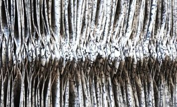 Ein linear sich fortschreibender Akt: Neue Ausstellung in der Galerie im Gwölb