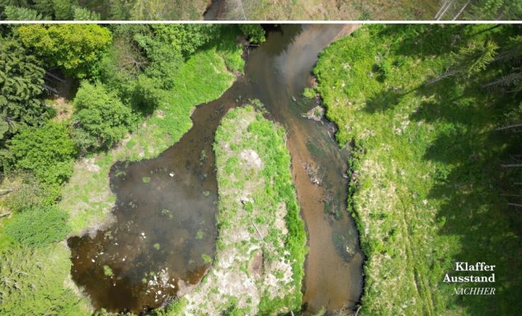 Vor der Renaturierung und nachher an der Großen Mühl in Klaffer (Foto: Fischereirevier Rohrbach)