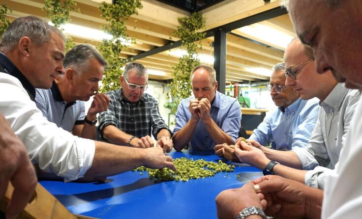 Hopfenbonitierung bei der Mühlviertler Hopfenbaugenossenschaft in Neufelden (Foto: Gahleitner)