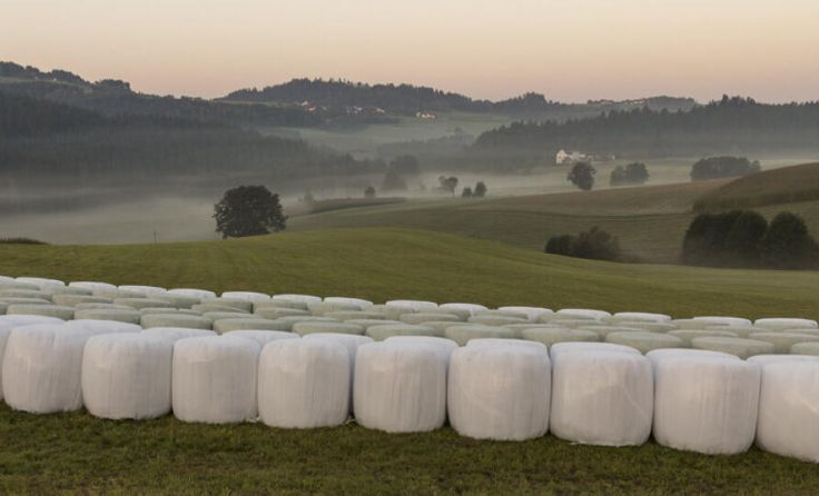 Gebrauchte Agarfolien werden wieder gesammelt. (Foto: B. Donner)