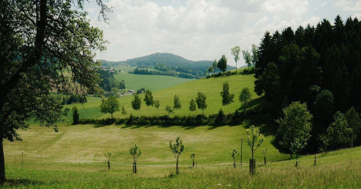 Graf Apfelwein in Peilstein muss Tag der offenen Kellertür absagen