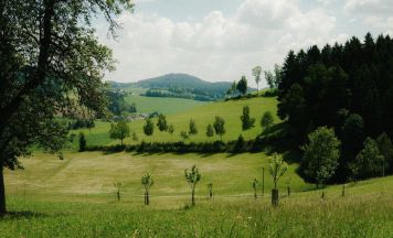 Graf Apfelwein in Peilstein muss Tag der offenen Kellertür absagen