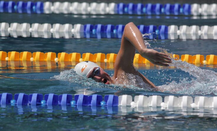 Der Vöcklabrucker Schwimmverein räumte kräftig ab. Foto: SVV