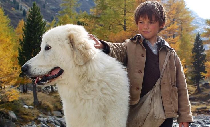 Mit dabei der französische Film„Belle & Sebastian“. Foto: Filmladen Filmverleih 