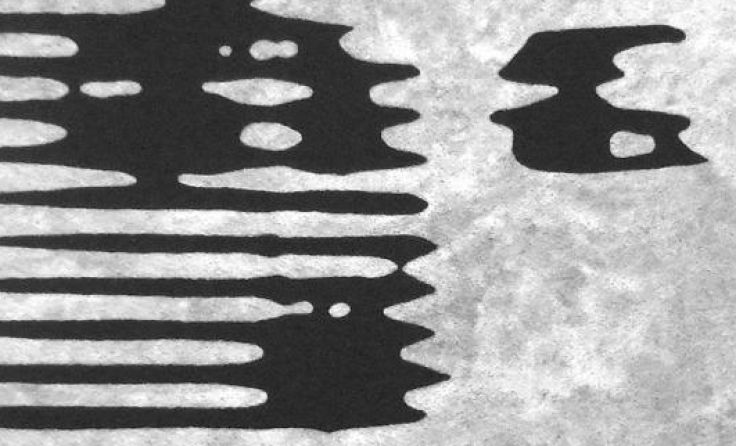 "Die Müdigkeit der Rebellin" von "Der Steiner. Foto: Der Steiner 