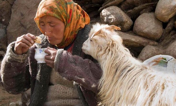 Leben in Ladakh. Foto: H. Schaffer